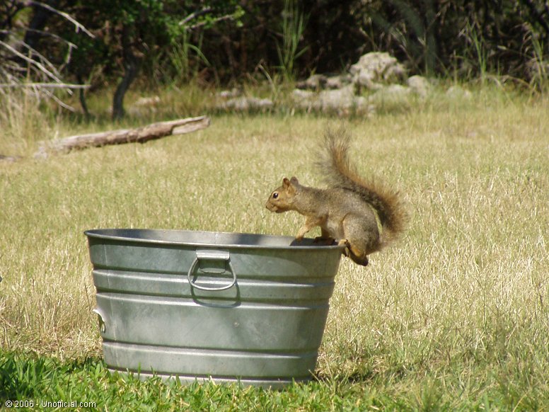 Balancing Act in northwest Travis County, Texas