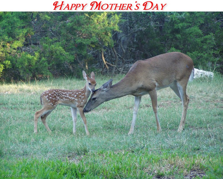 Mother's Day in northwest Travis County, Texas