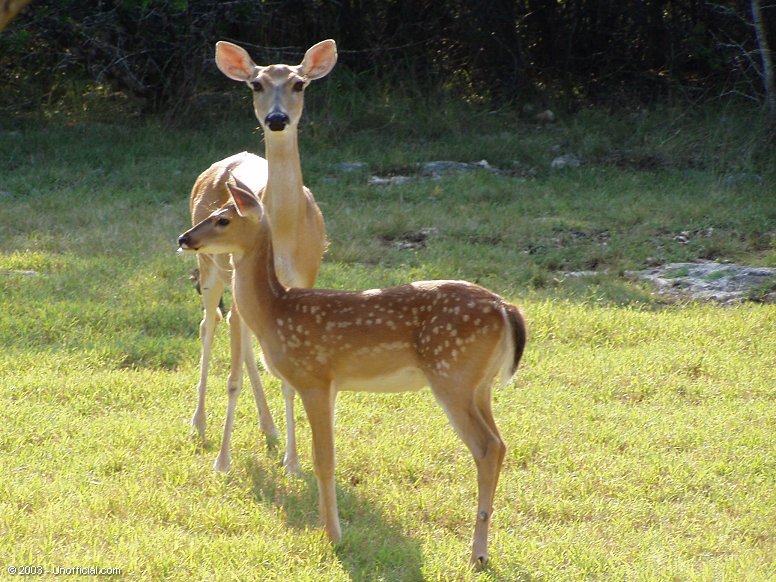 Mother and daughter in northwest Travis County, Texas