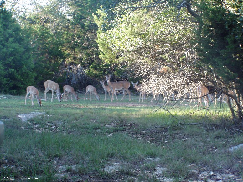 Big crowd in northwest Travis County, Texas