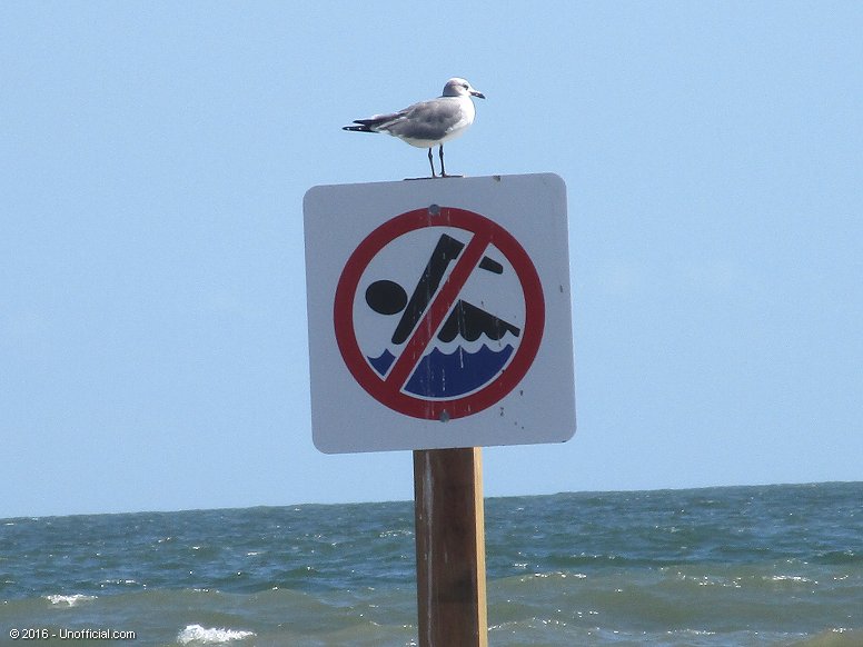 Beach Sign on Galveston Beach, Texas