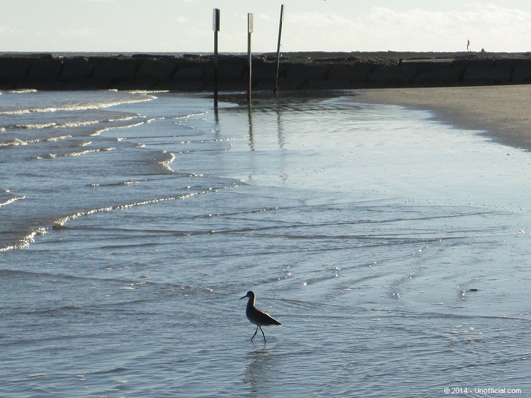 At the Beach in Galveston, Texas