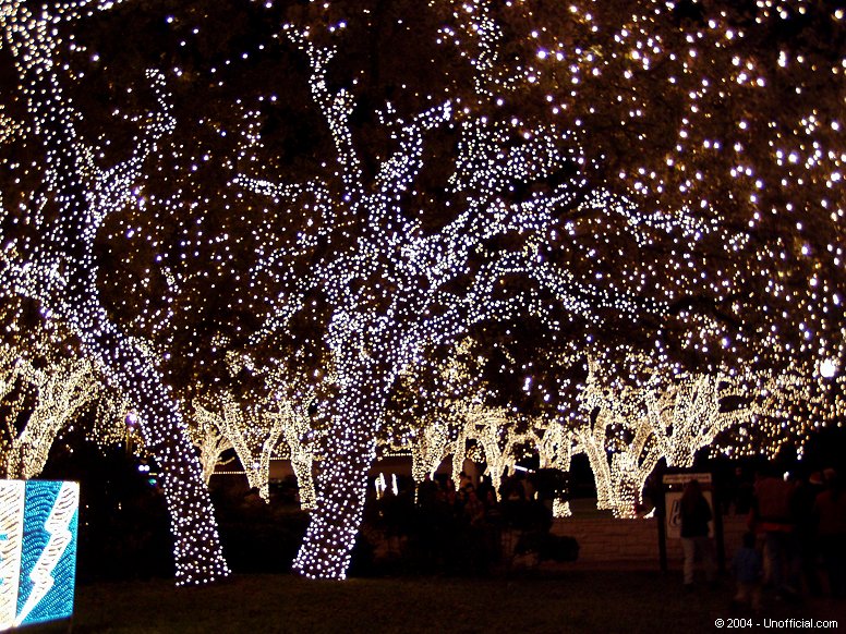 Christmas Lights at Pedernales Electric Co-Op in Johnson City, Texas